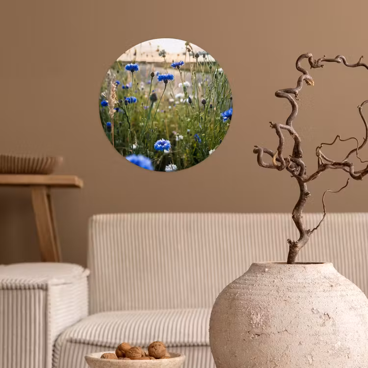 Bloemen - Zomer - Korenbloem - Blauw - Zon - Wolken Wandcirkel behangsticker klein -sfeer1