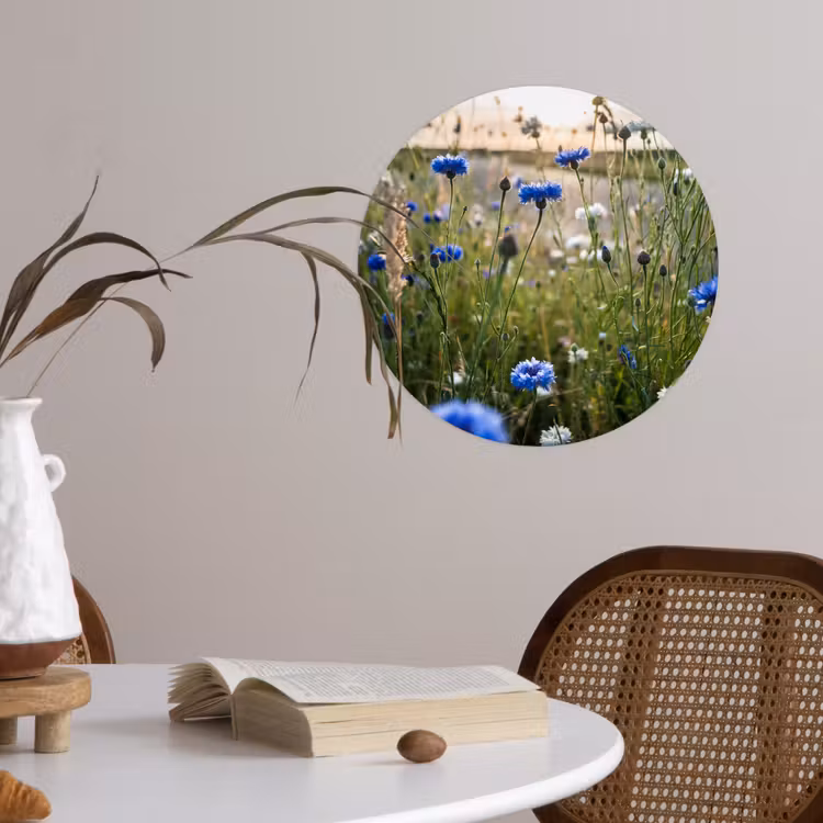 Bloemen - Zomer - Korenbloem - Blauw - Zon - Wolken Wandcirkel behangsticker klein -sfeer3