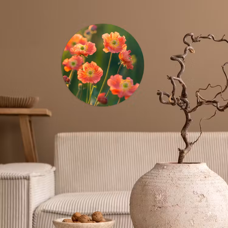 Bloemenveld - Zonnestralen - Oranje Wandcirkel behangsticker klein -sfeer1