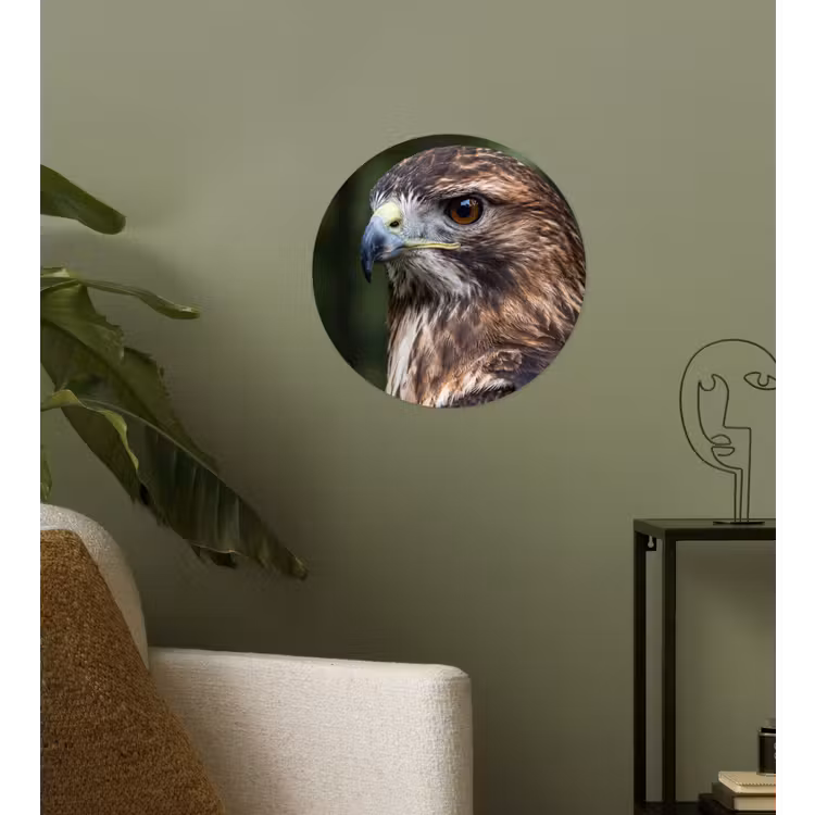 Buizerd - Roofvogel - Natuur - Bruin Wandcirkel behangsticker klein -sfeer2