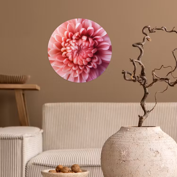 Dahlia - Bloem - Close up - Roze Wandcirkel behangsticker klein -sfeer1