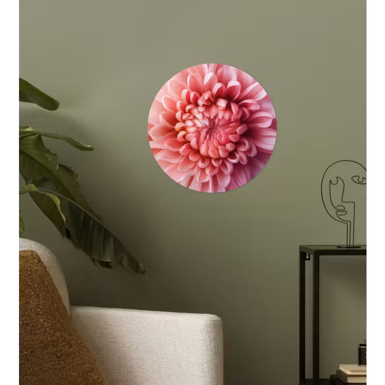 Dahlia - Bloem - Close up - Roze Wandcirkel behangsticker klein -sfeer2