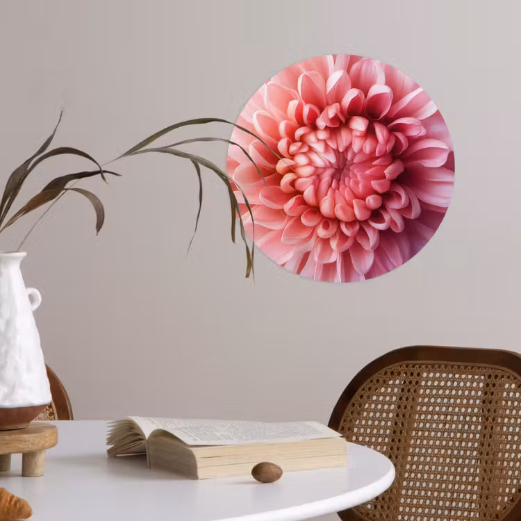 Dahlia - Bloem - Close up - Roze Wandcirkel behangsticker klein -sfeer3