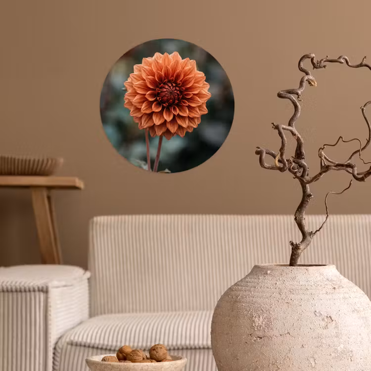 Dahlia - Bloem - Natuur - Sfeervol Wandcirkel behangsticker klein -sfeer1
