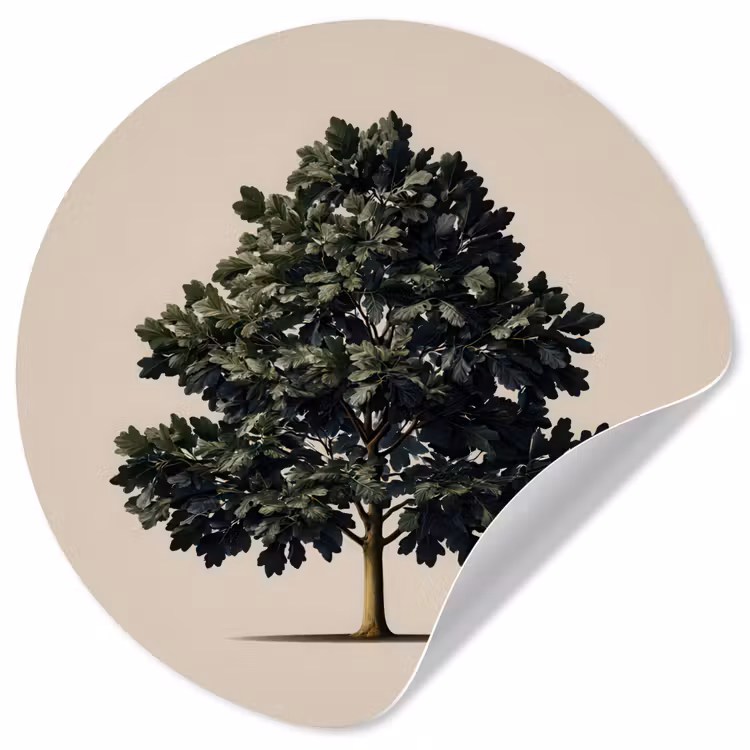Eikenboom - Schaduw - Egaal Wandcirkel behangsticker klein -3d
