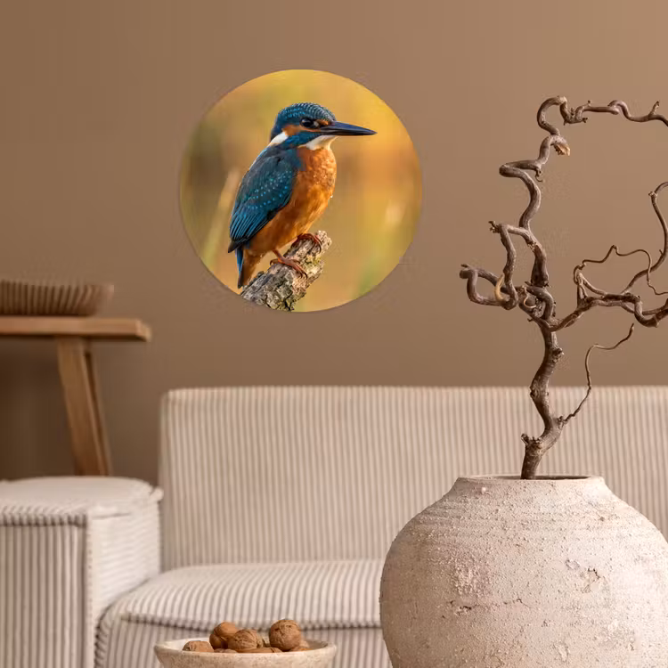 IJsvogel - Tak - Water - Kleurrijk - Levendig Wandcirkel behangsticker klein -sfeer1