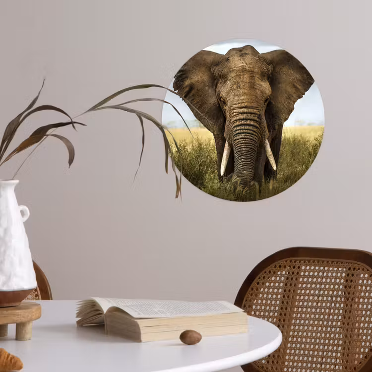 Olifant - Natuur - Gras - Dieren - Landschap Wandcirkel behangsticker klein -sfeer3