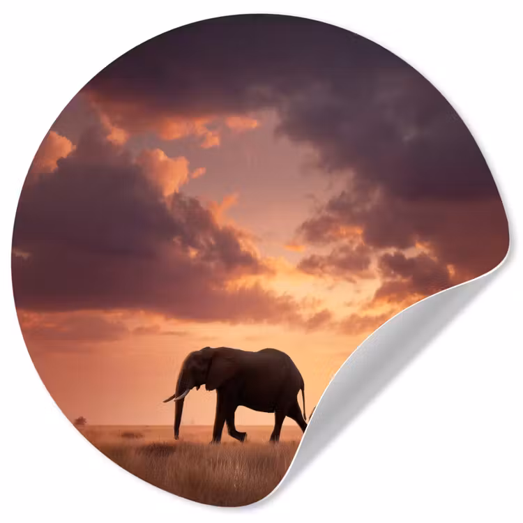 Olifanten - Grasland - Zonsondergang Wandcirkel behangsticker klein -3d