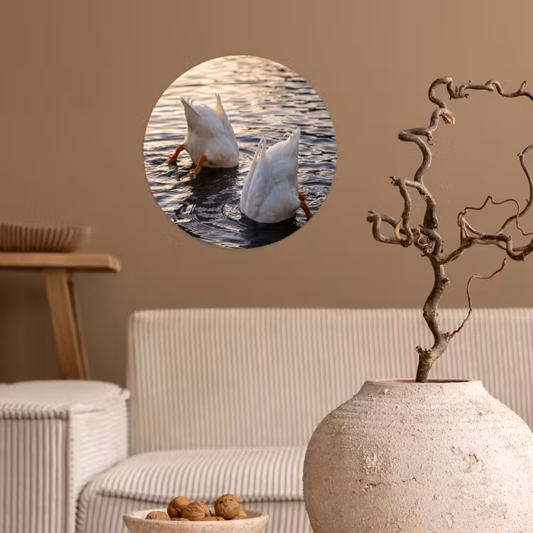 Eenden - Water - Natuur Wandcirkel behangsticker klein -sfeer1