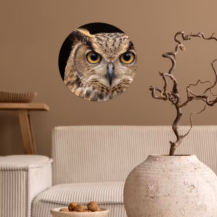Oehoe - Uil - Portret - Bruin Wandcirkel behangsticker klein -sfeer1