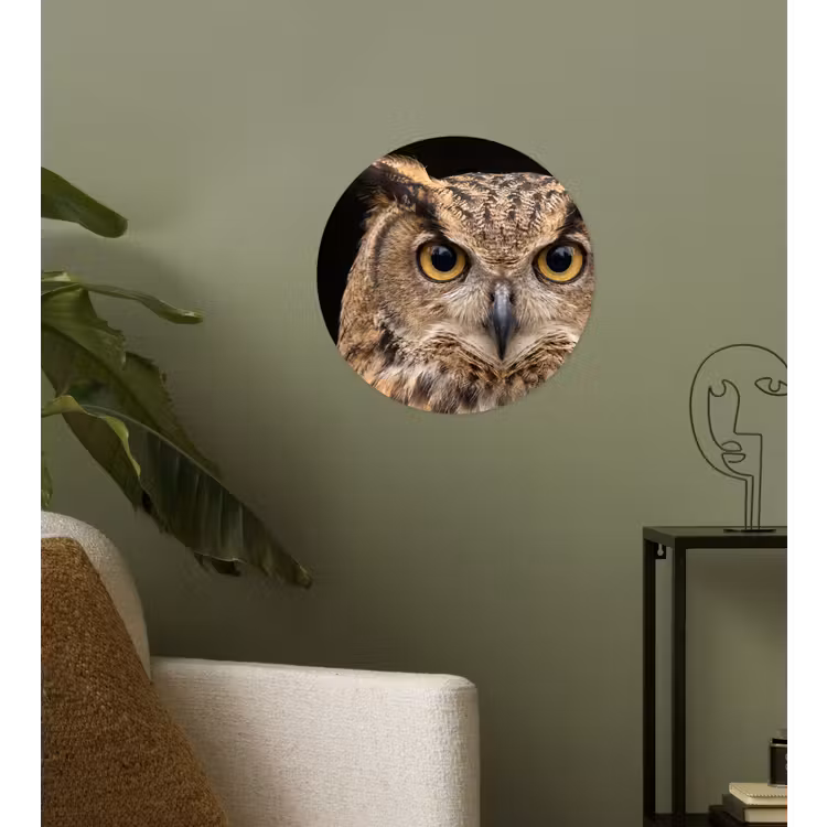 Oehoe - Uil - Portret - Bruin Wandcirkel behangsticker klein -sfeer2