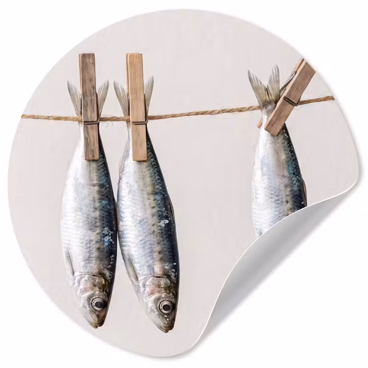 Runde Tapete - Fisch – Hängend – Essen - Vis - Hangend - Eten Wandcirkel behangsticker klein