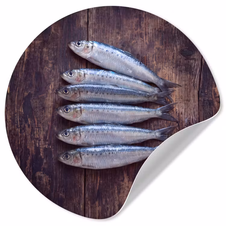 Runde Tapete - Fisch – Holz – Essen - Vis - Hout - Eten Wandcirkel behangsticker klein