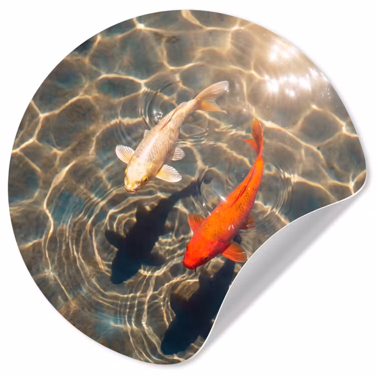 Vis - Water - Dieren - Oranje - Goud Wandcirkel behangsticker klein -3d