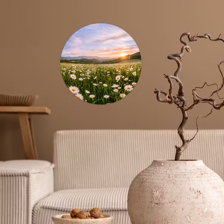 Madelief - Veld - Heuvels - Groen Wandcirkel behangsticker klein -sfeer1