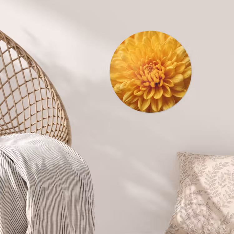 Geel - Chrysant - Zachtheid Wandcirkel behangsticker klein -sfeer4