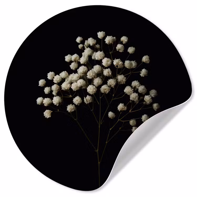 Gipskruid - Bloemetjes - Wit - Minimalistisch Wandcirkel behangsticker klein -3d