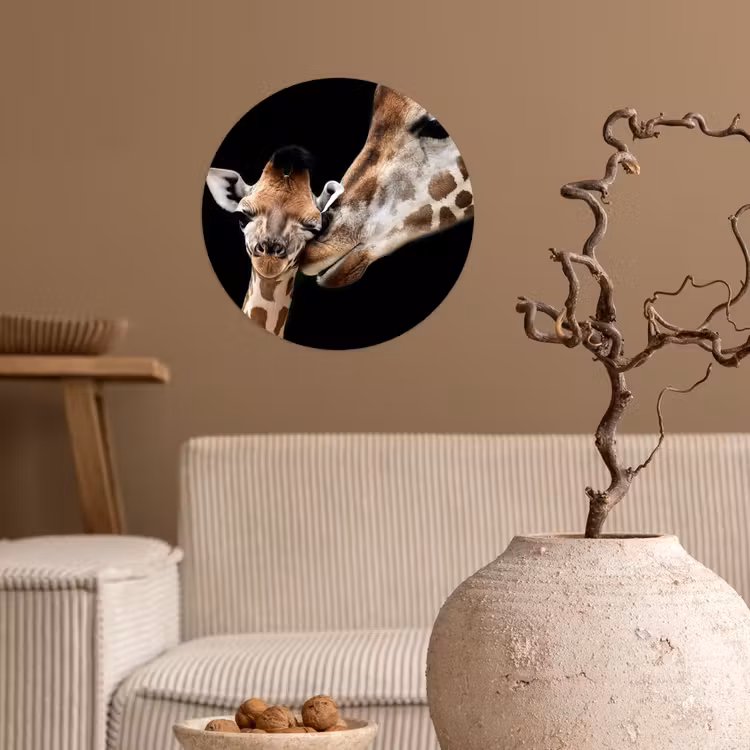 Giraffe - Dieren - Zwart - Portret - Dieren Wandcirkel behangsticker klein -sfeer1