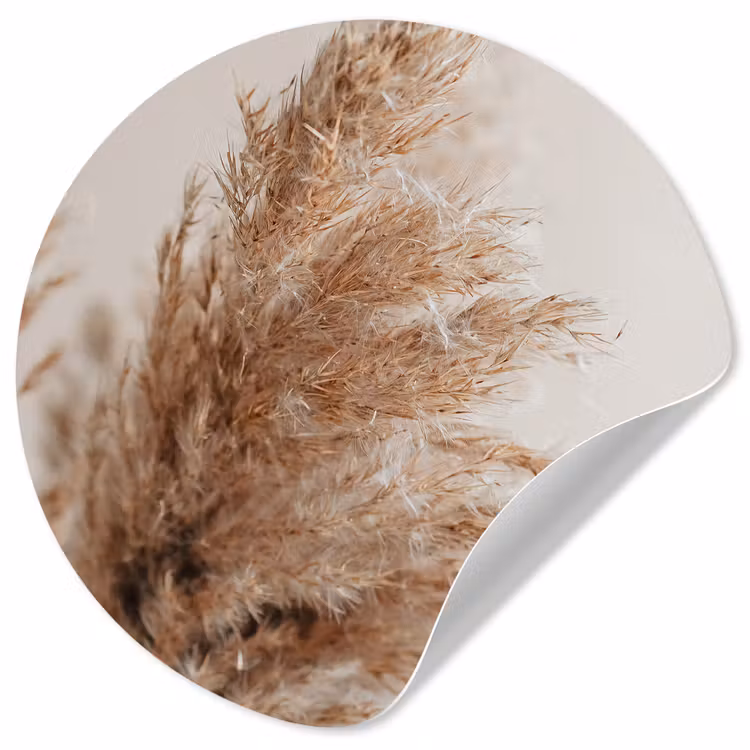Gras - Planten - Natuur - Pampasgras Wandcirkel behangsticker klein -3d