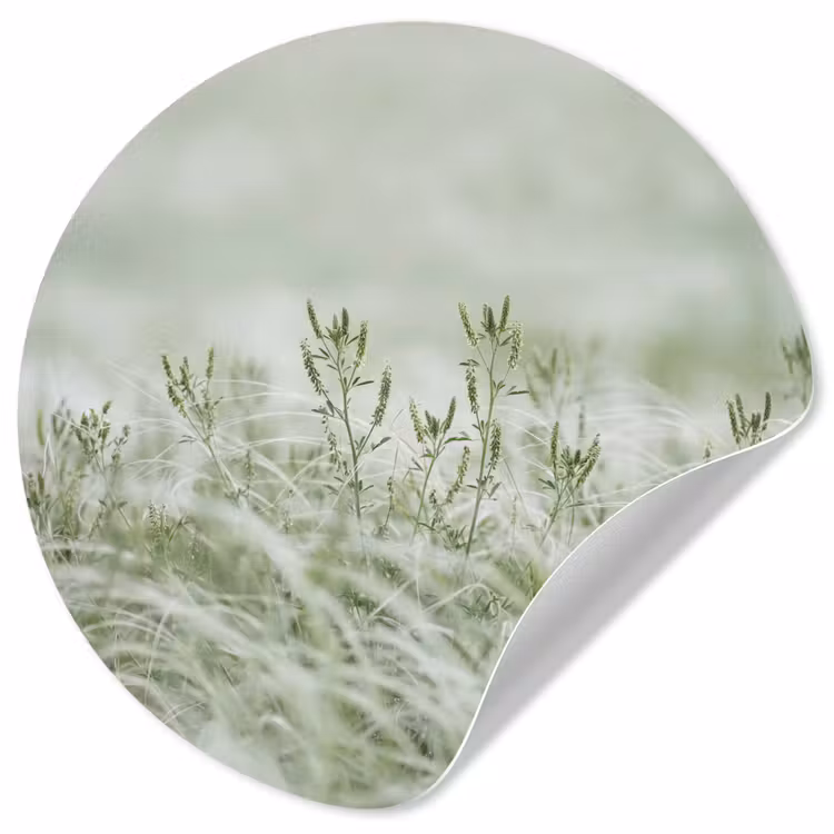 Grassen - Minimalistisch - Groen Wandcirkel behangsticker klein -3d