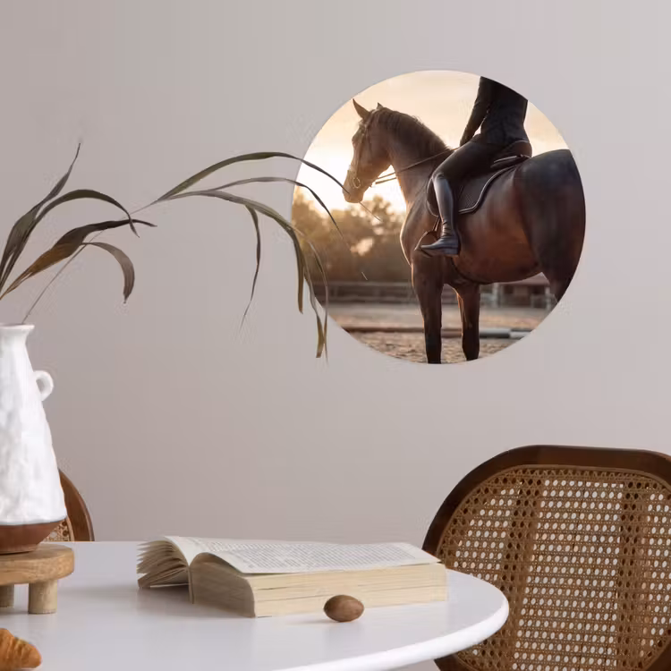 Harmonie - Ruiter - Zon Wandcirkel behangsticker klein -sfeer3