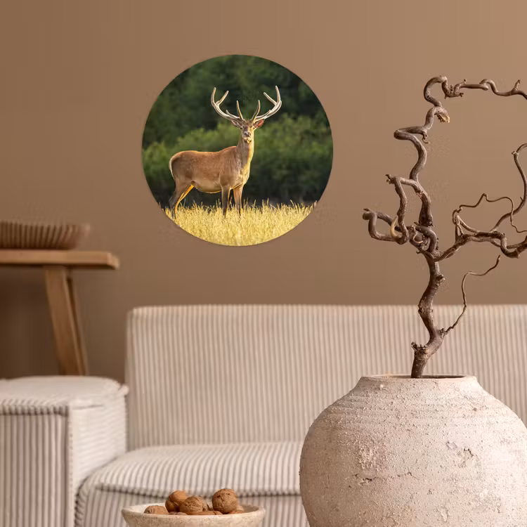 Hert - Gewei - Gras - Natuur - Dieren - Groen Wandcirkel behangsticker klein -sfeer1