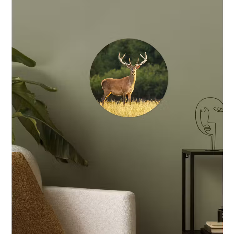 Hert - Gewei - Gras - Natuur - Dieren - Groen Wandcirkel behangsticker klein -sfeer2