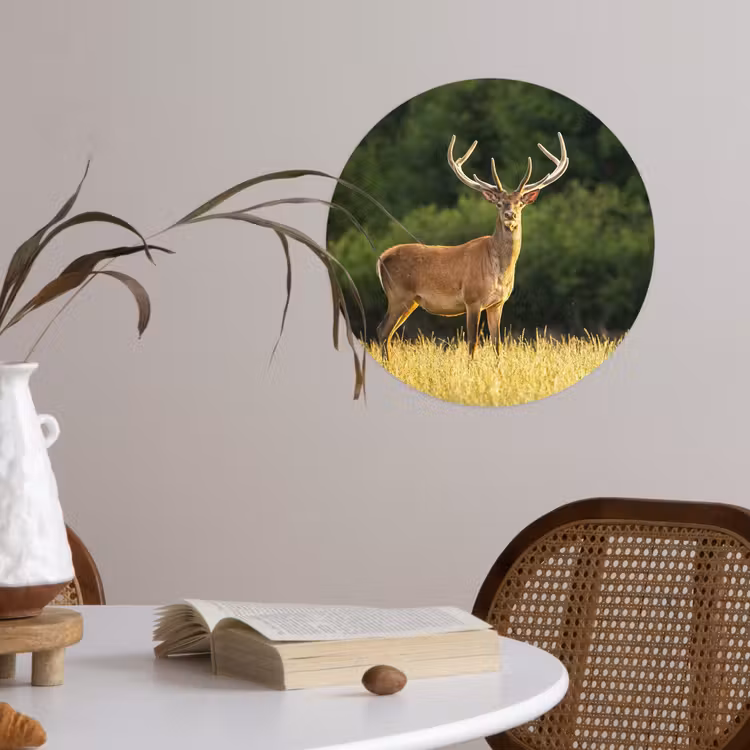 Hert - Gewei - Gras - Natuur - Dieren - Groen Wandcirkel behangsticker klein -sfeer3