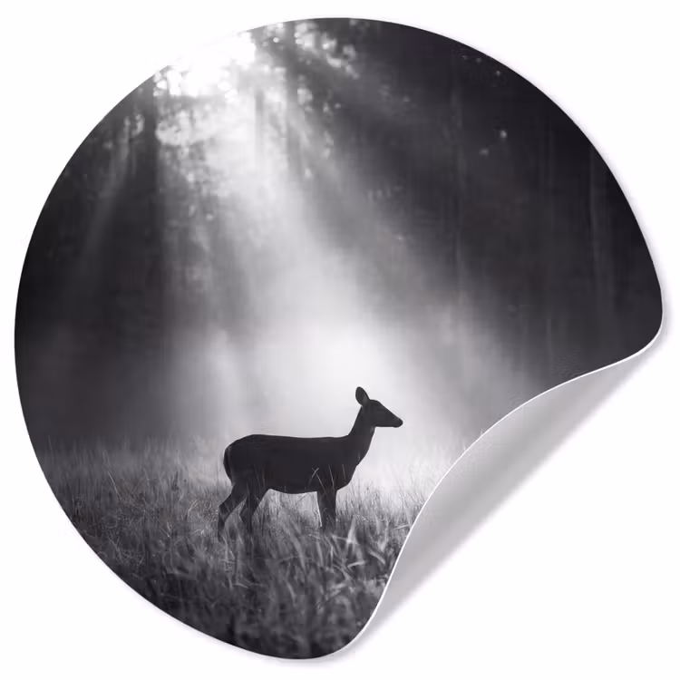 Hert - Bos - Zonnestralen - Zwart-wit - Natuur Wandcirkel behangsticker klein -3d