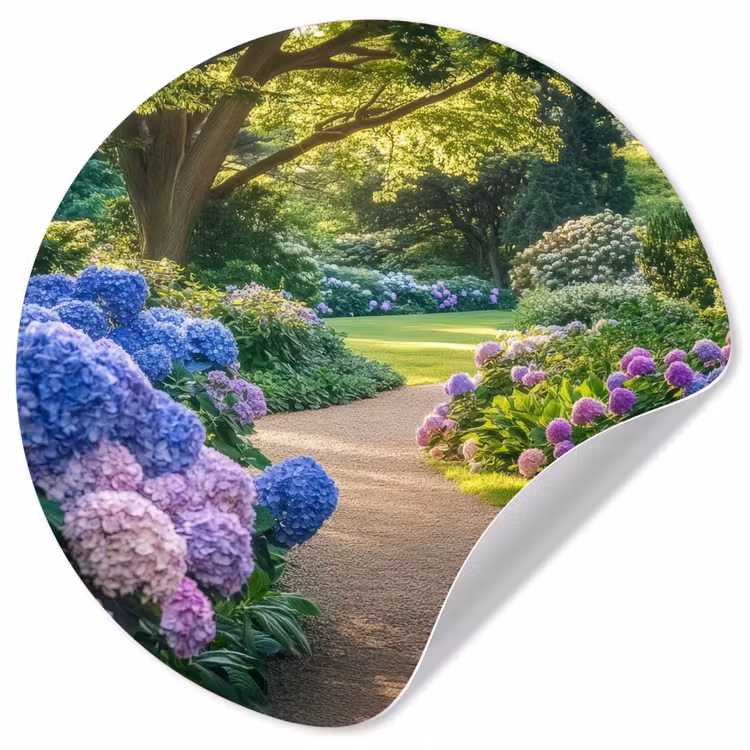 Hortensia- Park - Pad Wandcirkel behangsticker klein -3d