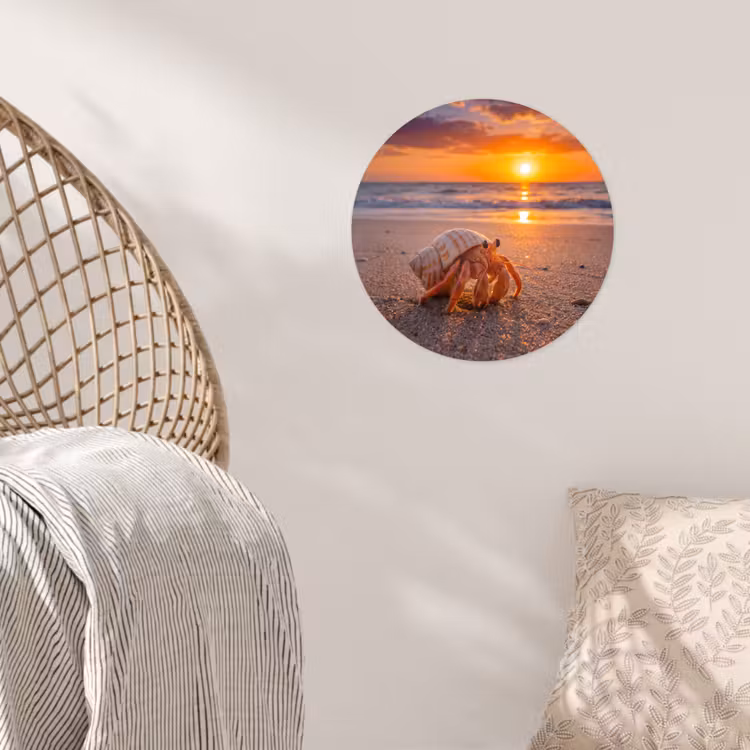 Kreeft - Strand - Natuur - Zonsondergang - Oranje Wandcirkel behangsticker klein -sfeer4