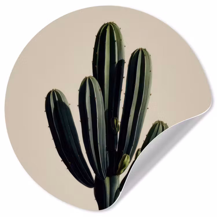 Cactus - Subtiel - Groen Wandcirkel behangsticker klein -3d