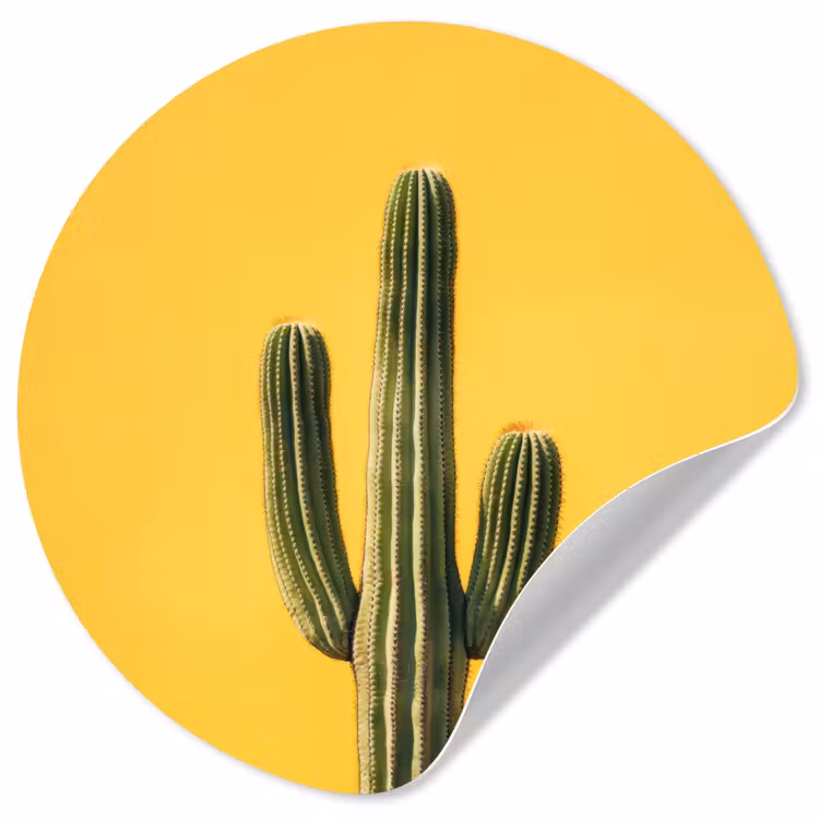 Cactus - Groen - Minimalistisch Wandcirkel behangsticker klein -3d