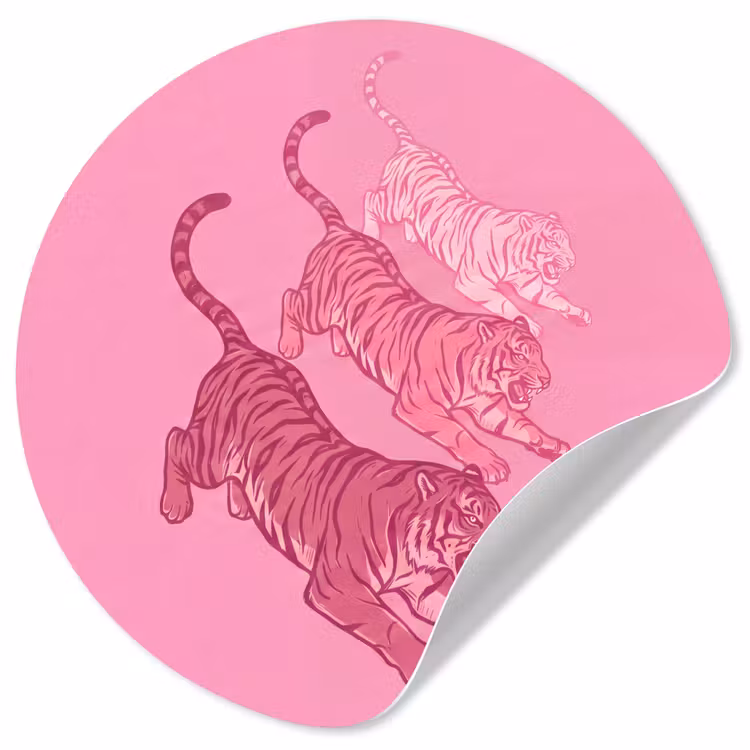 Kat - Springend - Dieren - Roze - Modern Wandcirkel behangsticker klein -3d