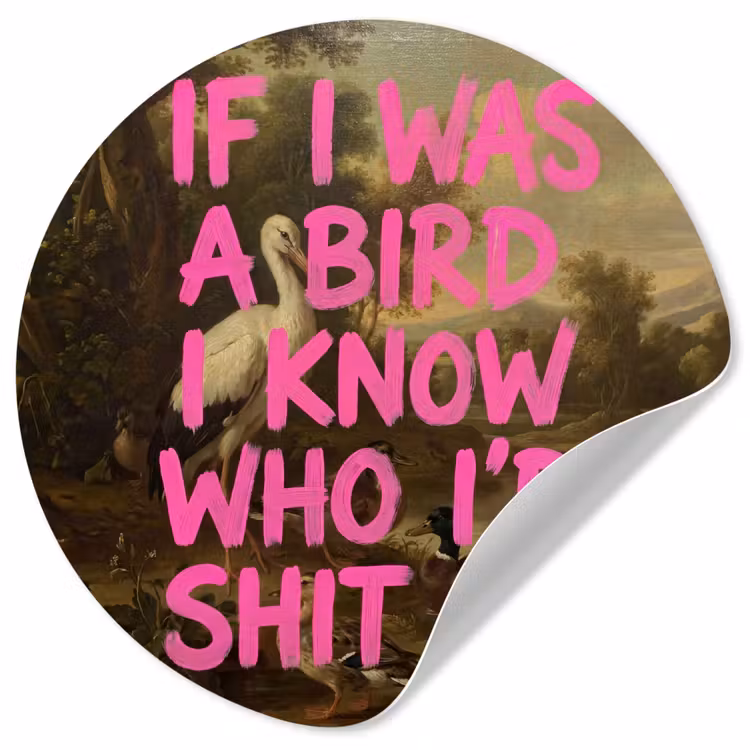 Klassiek - Humor - Roze Wandcirkel behangsticker klein -3d