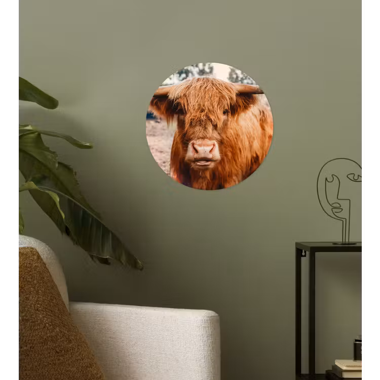 Koe- Schotse hooglander - Hoorns - Bruin - Landschap Wandcirkel behangsticker klein -sfeer2
