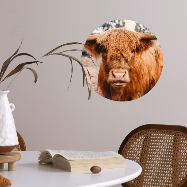 Koe- Schotse hooglander - Hoorns - Bruin - Landschap Wandcirkel behangsticker klein -sfeer3