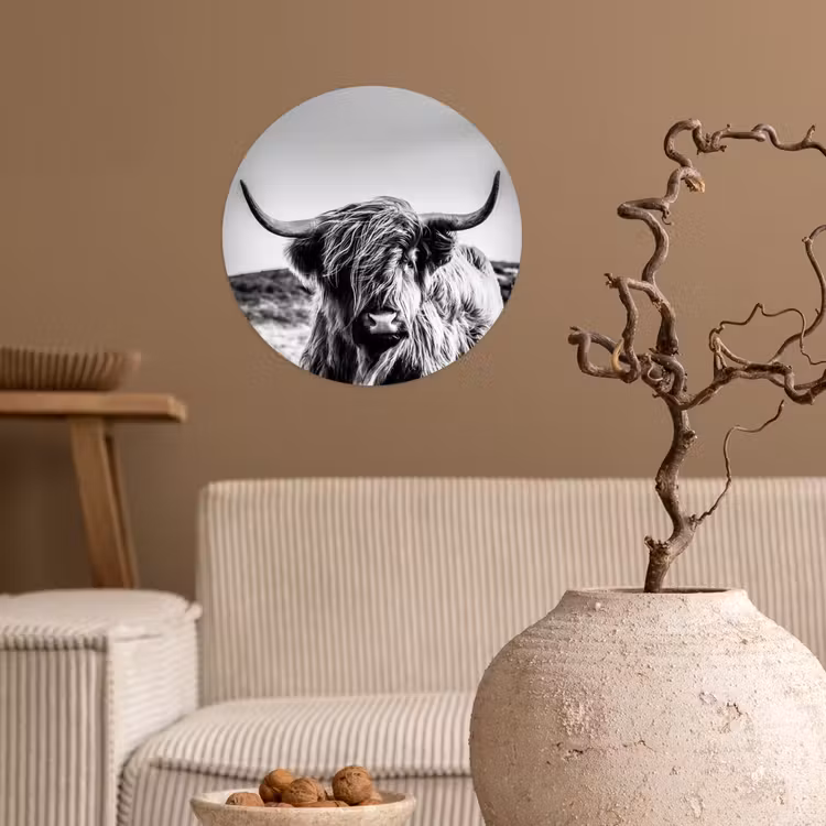 Koe - Schotse hooglander - Zwart - Wit - Dier - Natuur - Wild Wandcirkel behangsticker klein -sfeer1