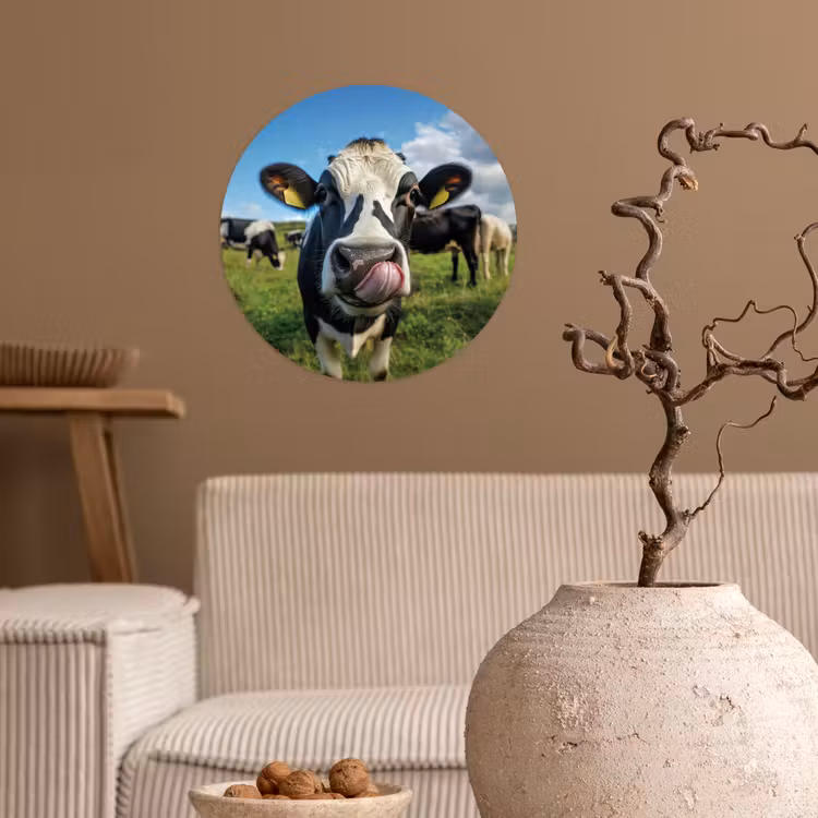 Koe - Tong - Weide Wandcirkel behangsticker klein -sfeer1
