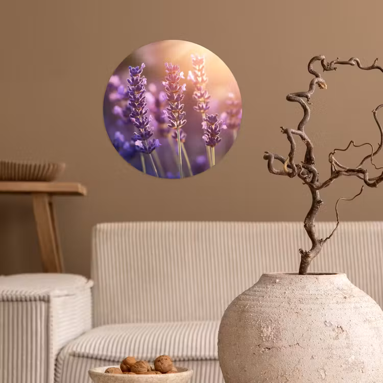 Lavendelbloemen - Paars - Zonlicht Wandcirkel behangsticker klein -sfeer1