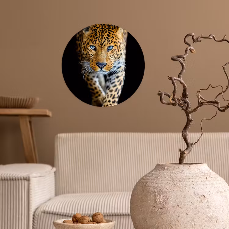 Luipaard - Dieren - Portret - Wilde dieren - Zwart Wandcirkel behangsticker klein -sfeer1