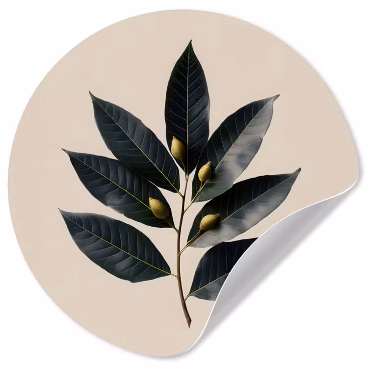 Laurierbladeren - Bloemknoppen - subtiel Wandcirkel behangsticker klein -3d
