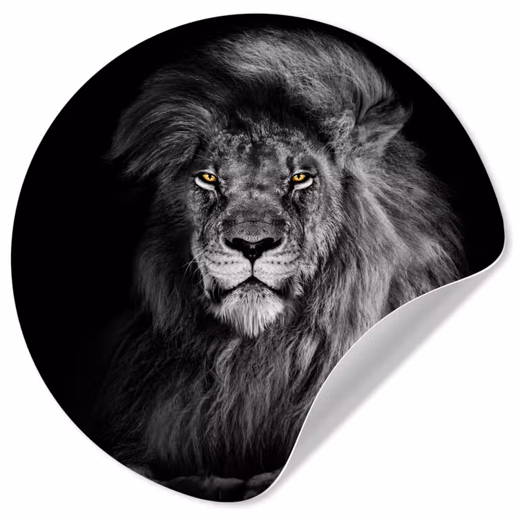 Leeuw - Ogen - Oranje - Zwart wit - Dieren - Portret Wandcirkel behangsticker klein -3d