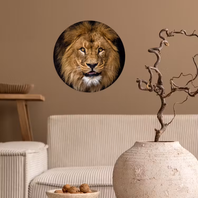 Leeuw - Portret - Zwart - Dieren Wandcirkel behangsticker klein -sfeer1