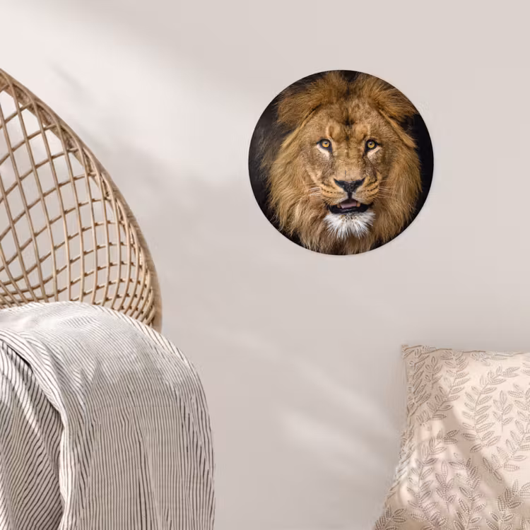 Leeuw - Portret - Zwart - Dieren Wandcirkel behangsticker klein -sfeer4