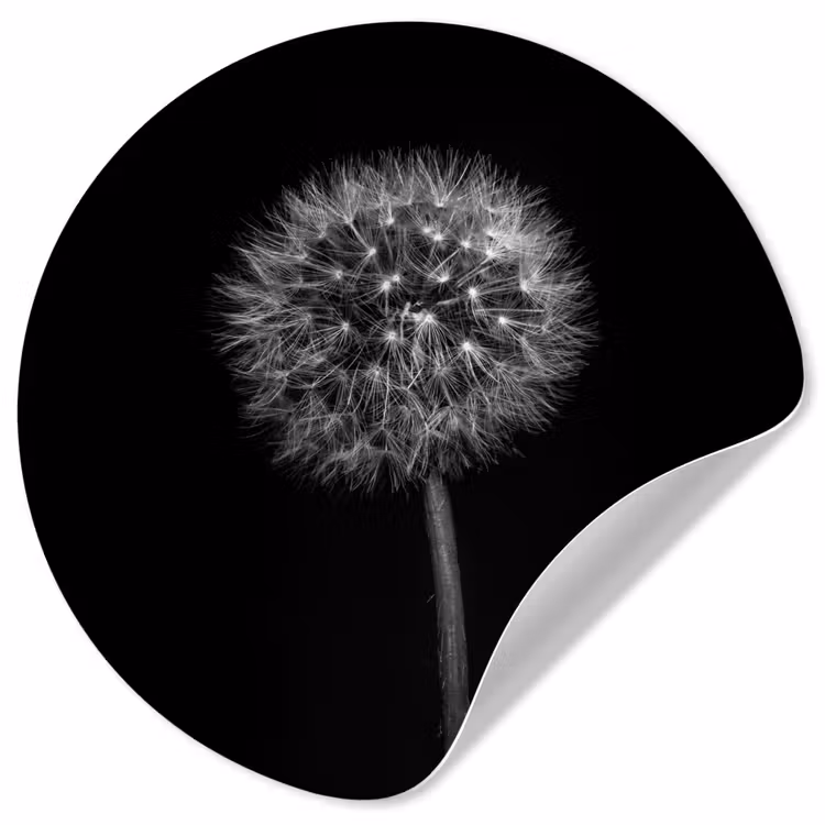 Paardenbloem - Zwart - Bloemen - Botanisch Wandcirkel behangsticker klein -3d