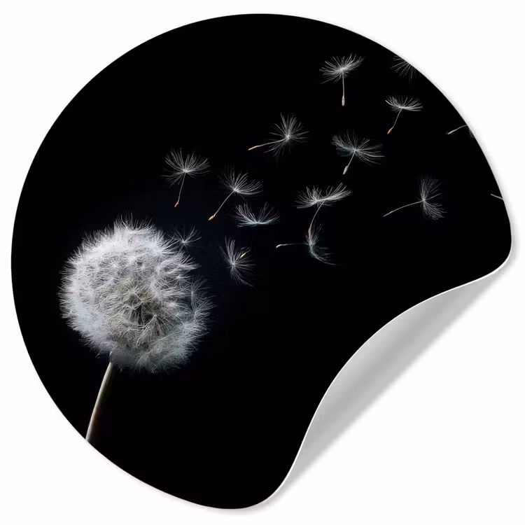 Paardenbloem - Zwart - Natuur Wandcirkel behangsticker klein -3d