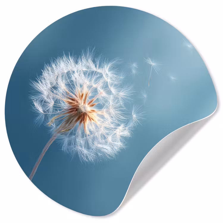 Paardenbloem - Wind - Blauw Wandcirkel behangsticker klein -3d
