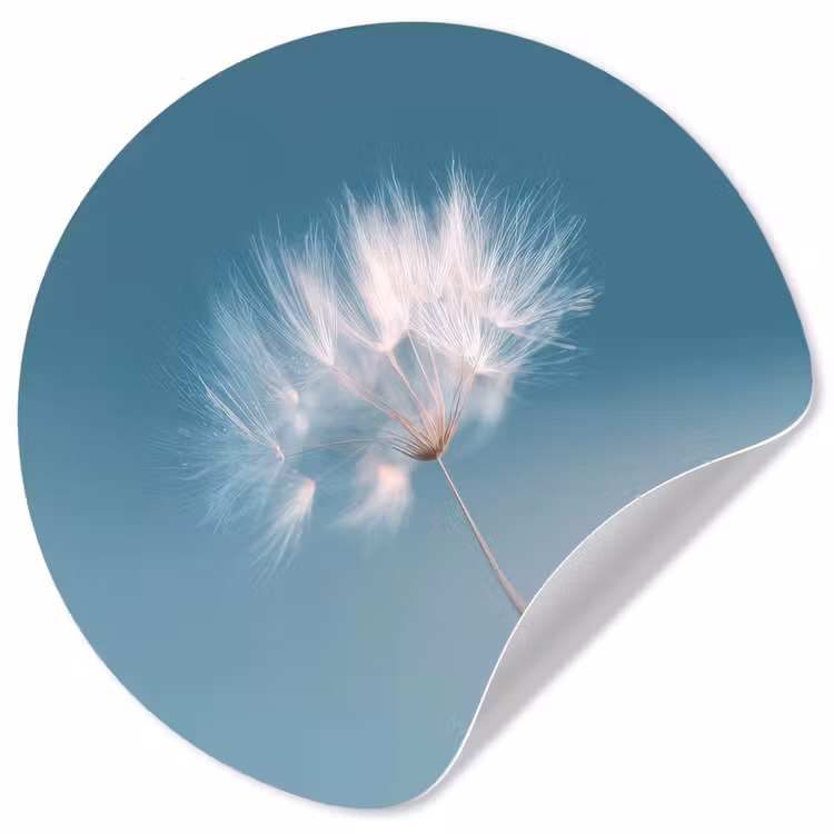 Paardenbloempluisje - Blauw - Lucht Wandcirkel behangsticker klein -3d