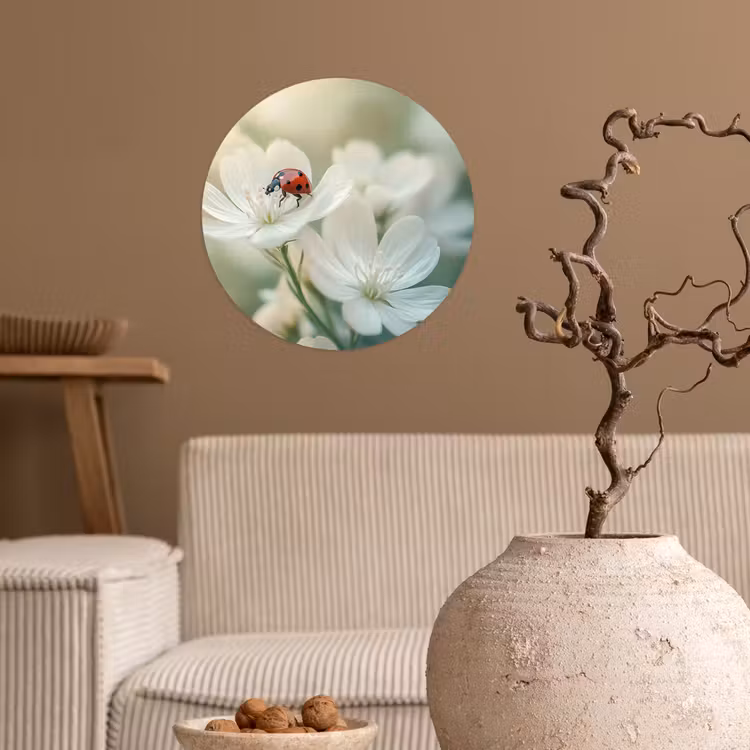 Lieveheersbeestje - Bloemen - Wit Wandcirkel behangsticker klein -sfeer1